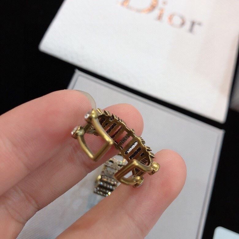 chr1st1an D10r earrings